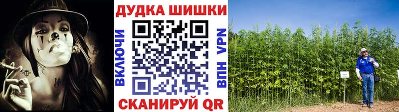 кракен рабочий сайт  Тогучин  Канабис MAZAR 